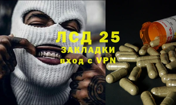молекула духа Аркадак