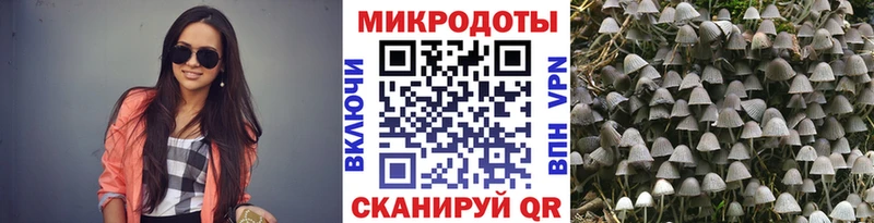 Псилоцибиновые грибы MAGIC MUSHROOMS  Сальск 