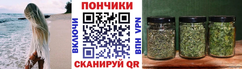 Шишки марихуана MAZAR  Сальск 